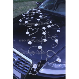 Bil till bröllop vita prästkragar