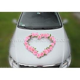 ljusrosa rosor med sugkoppar