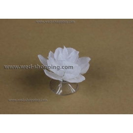 Vita rosor med sugkoppar för bröllop bil dekoration