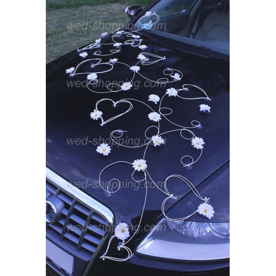 Bil till bröllop vita prästkragar