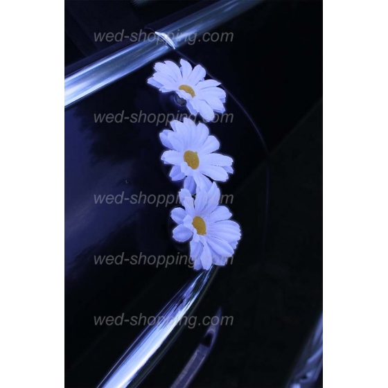 Bil till bröllop vita prästkragar