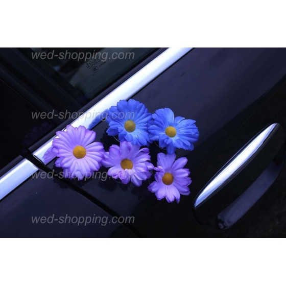 Bil till bröllop violett-blå daisy