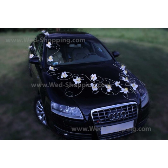 Bilpynt till bröllopsbil vita orkidéer