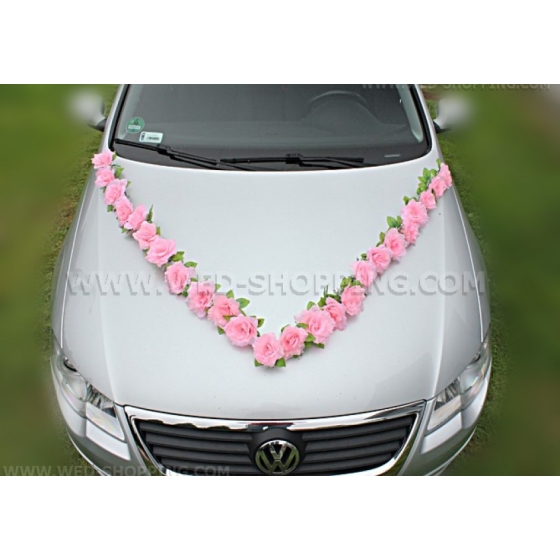 ljusrosa rosor med sugkoppar