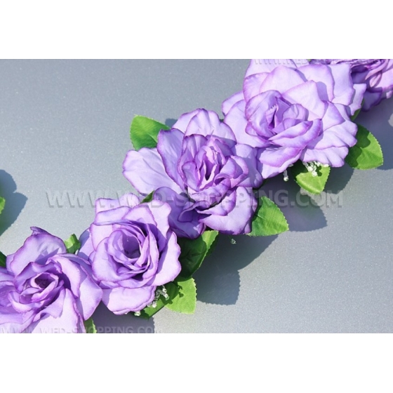 Ljuslila rosor med sugkoppar