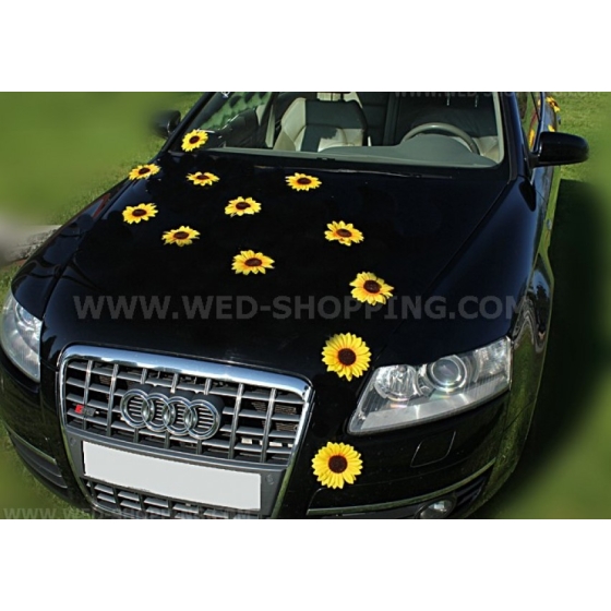 Sugkoppar Ssolrosor Dekoration bröllopsbil