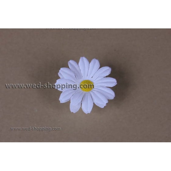 Vita prästkragar med sugkoppar för bröllop bil dekoration