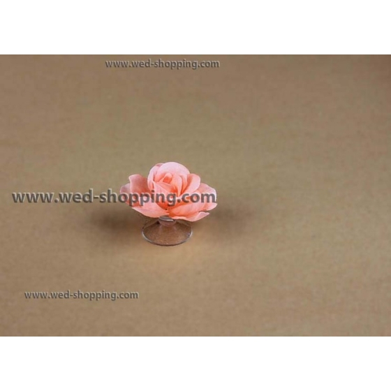 Persika rosor med sugkoppar för bröllop bil dekoration